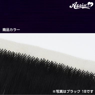 生え際パーツ　ブラックベリー　NMSB-38