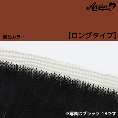 生え際パーツ　ロングタイプ　ピリカ　NHPK-98