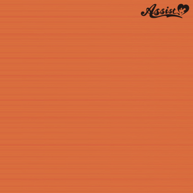 スタイリッシュレイヤー　プリンセスオレンジ　NPO-112