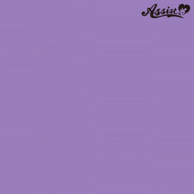 スタイリッシュレイヤー　ロマンスパープル　NLP-35