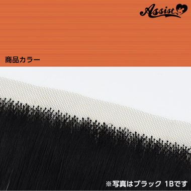 生え際パーツ　プリンセスオレンジ　NPO-112