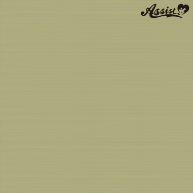 スタイリッシュレイヤー パウダーゴールド NPG-123