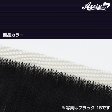 生え際パーツ　ブラックパープル　NPABD-8