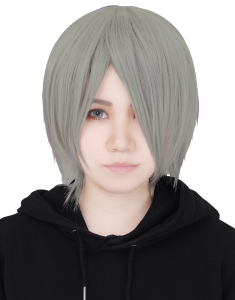 スタイルから選ぶ コスプレウィッグ総合専門店 アシストウィッグ オンラインショップ