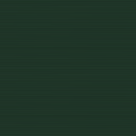 ヴィリジアン　NME-22