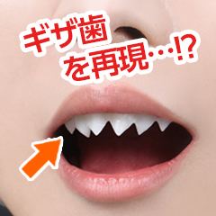 ★自分専用の付け牙★『ファング』登場!!