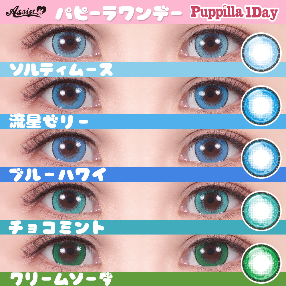 Puppilla 1Dayの比較