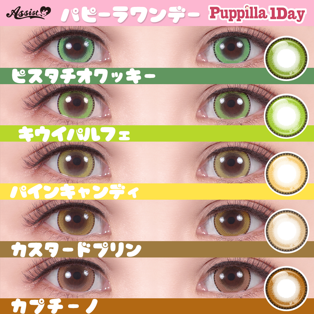 Puppilla 1Dayの比較