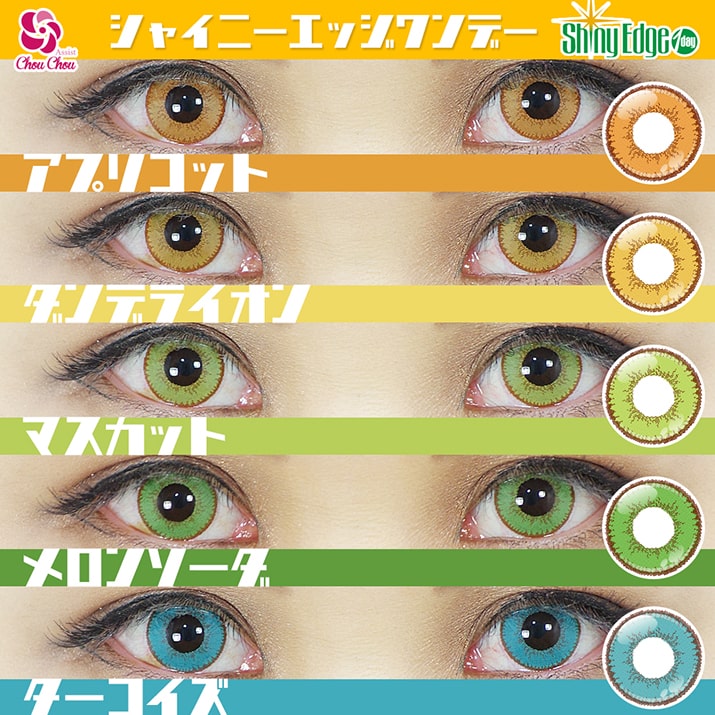 shutella 1Dayの比較
