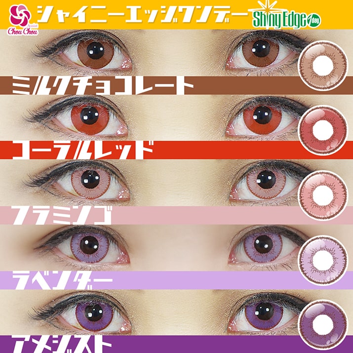 shutella 1Dayの比較