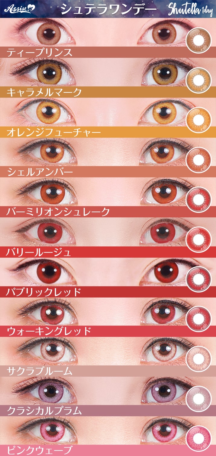 shutella 1Dayの比較