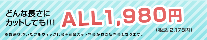 どんな長さにカットしても　ALL1,980円(税込み2,178円)