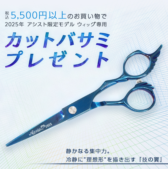 2025年アシスト限定モデルウィッグ専用カットバサミプレゼント!