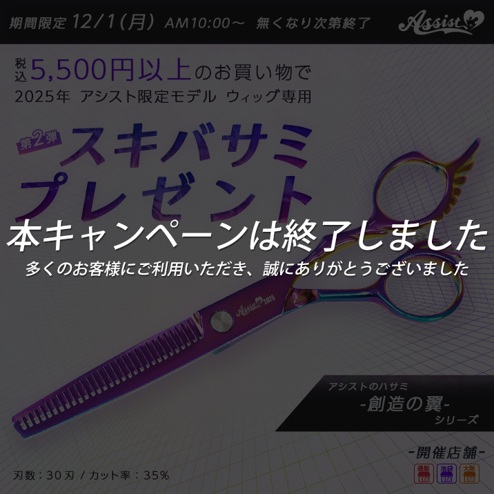2025年アシスト限定モデルウィッグ専用スキバサミプレゼント!