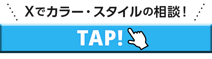 Xボタン