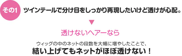 その1　ウィッグの中のネットの段数を大幅に増やしたことで、結い上げてもネットがほぼ透けない!