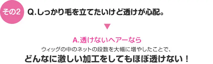 その2　ウィッグの中のネットの段数を大幅に増やしたことで、どんなに激しい加工をしてもほぼ透けない!