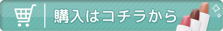 購入はコチラ