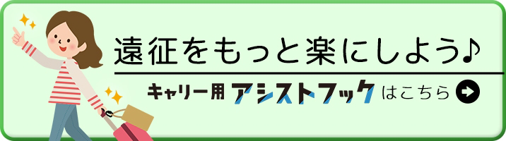 購入ボタン(アシストフック)