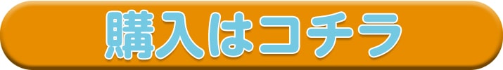 購入はコチラ