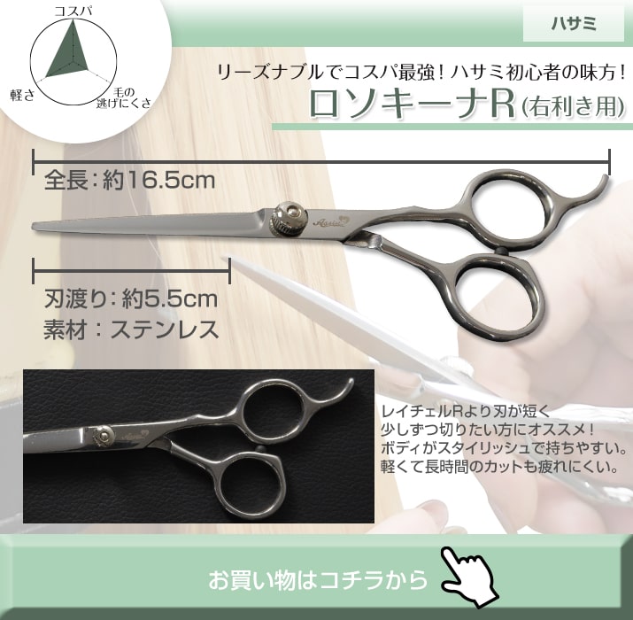 リード文05　ロソキーナ