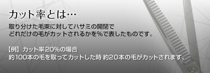 リード文09