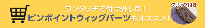 購入はコチラ(ピンポイント)