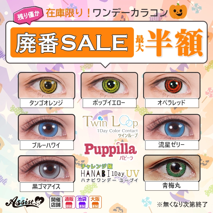 レイ様ウィッグオーダー確認ページ