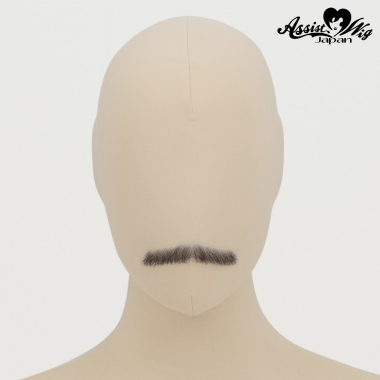 付けヒゲ　鼻下タイプ