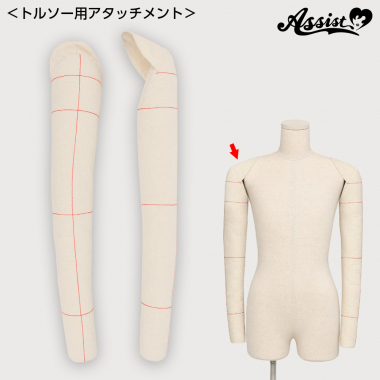 トルソー用つけ腕セット