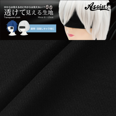 透けて見える生地 ブラック 90cm巾×25cm