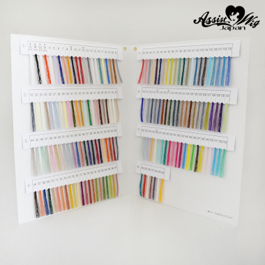 レジロン　カラーサンプル帳