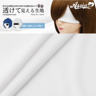 透けて見える生地 ホワイト 90cm巾×25cm