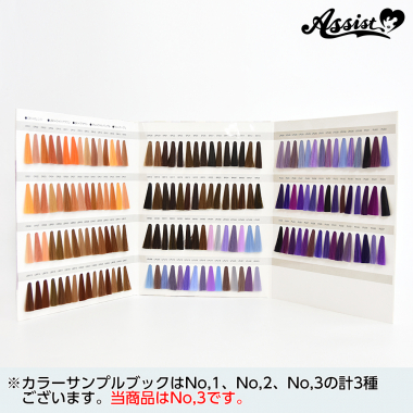 【在庫限り】Basic　カラーサンプルブック