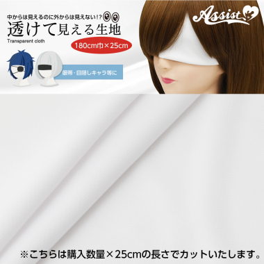 透けて見える生地 ホワイト 180cm巾×25cm
