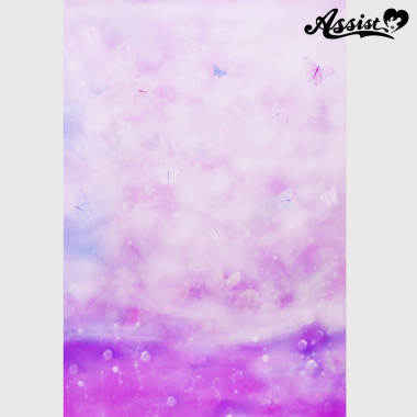 【在庫限り】背景布35 蝶柄