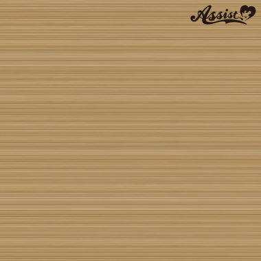 フロントレースショート改　フラットハニー　NFH-186