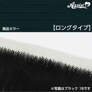 生え際パーツ ロングタイプ マリンフォレスト NMRF-100