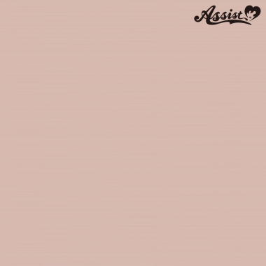 スタイリッシュレイヤー　スウィートカシス　NSC-44