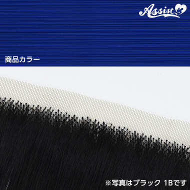 生え際パーツ アンジュブルー NAGL-176