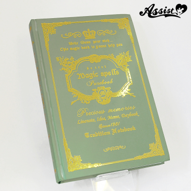 洋書 タイプA ライトグリーン