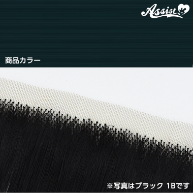 生え際パーツ マリンフォレスト NMRF-100