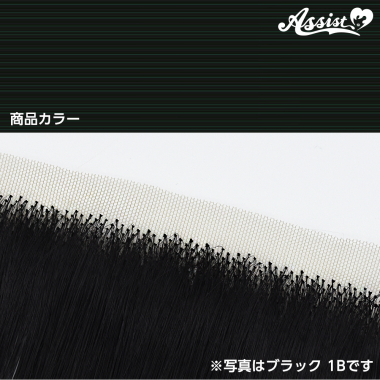 生え際パーツ ブラックグリーン NGD-3