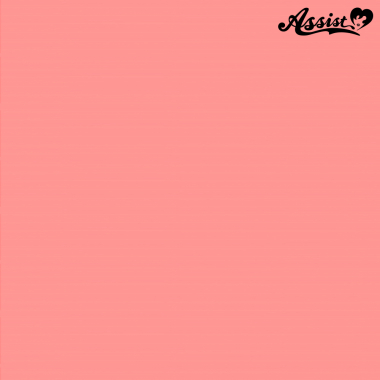 スタイリッシュレイヤー　チェリーブロッサム　NCB-34