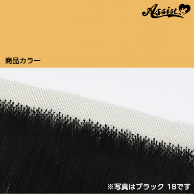 生え際パーツ　カナリア　NGY-60