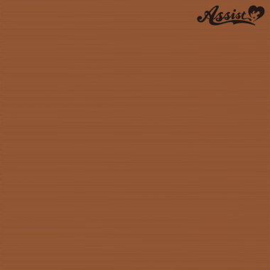 スタイリッシュレイヤー　キャラメルブラウン　30