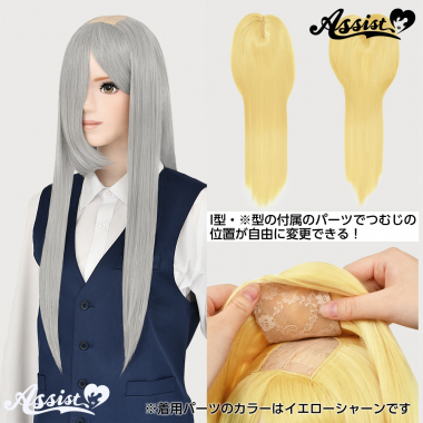 つむじ付け替えロング　シルバー　NS-15
