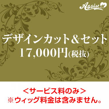 デザインカット&セット　17,000円(税抜)