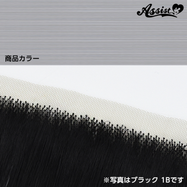 生え際パーツ　プラチナ　NPT-171