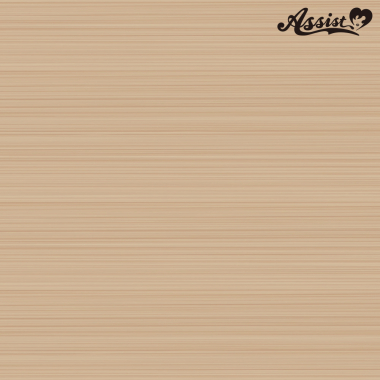 フロントレースショート改　シュガーブルーム　NSGB-216